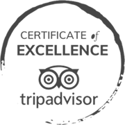 The image shows TripAdvisor's Certificate of Excellence logo, featuring an owl graphic within a circular border along with the text 