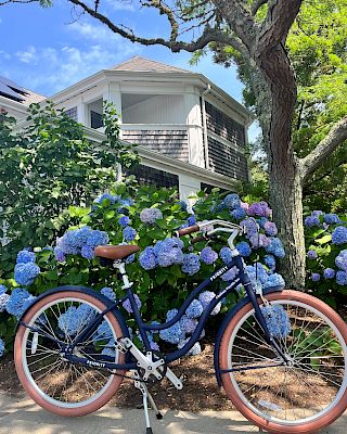 A blue bicycle with tan seat and tires is parked on a pathway in front of a house with vibrant blue hydrangeas and lush greenery.